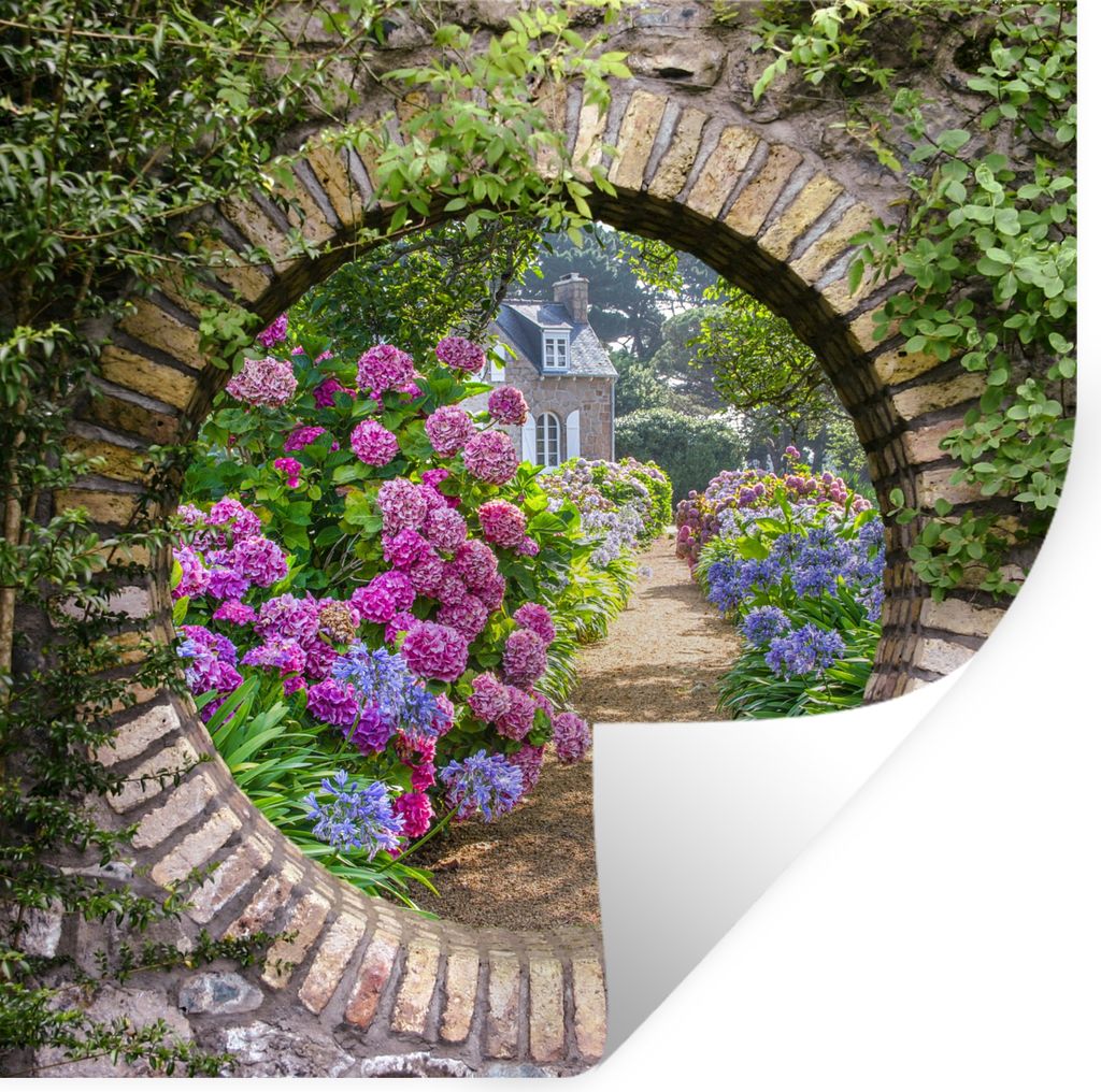 MuchoWow Wandtattoo Wandsticker Wandaufkleber Transparent - Blumen - Hortensie - Sommer 80x80 cm Selbstklebend und Repositionierbar - Wierderverw...