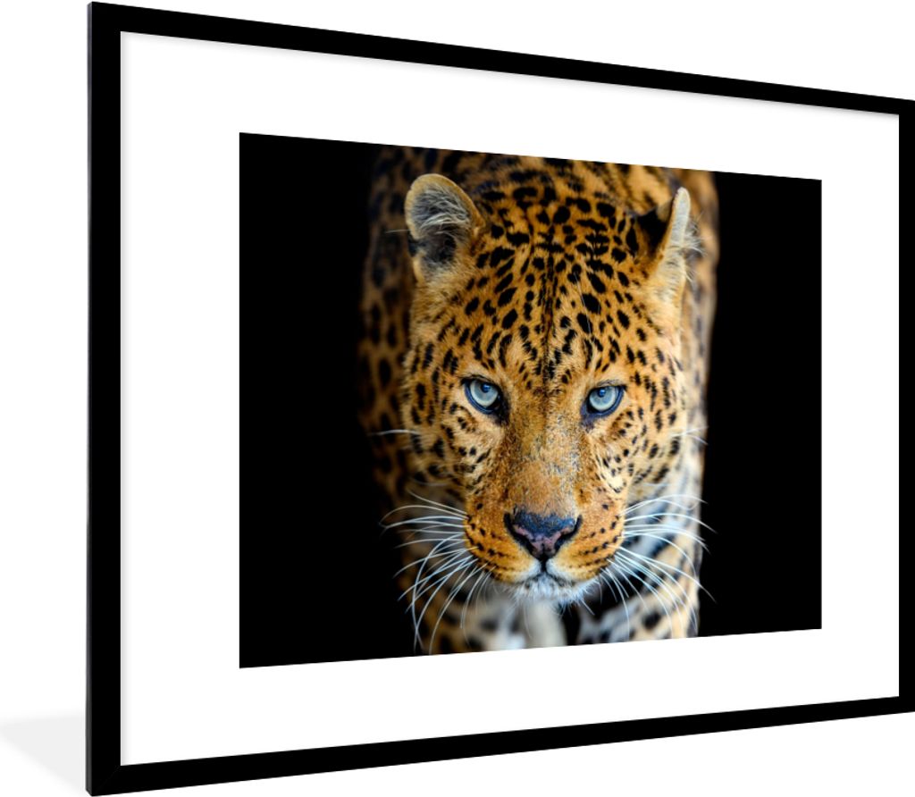 MuchoWow Gerahmtes Poster Leopard - Tiere - Porträt - Wildtiere - Schwarz 80x60 cm - Poster mit Schwarzem Bilderrahmen Wandposter Rahmen Foto Bi...