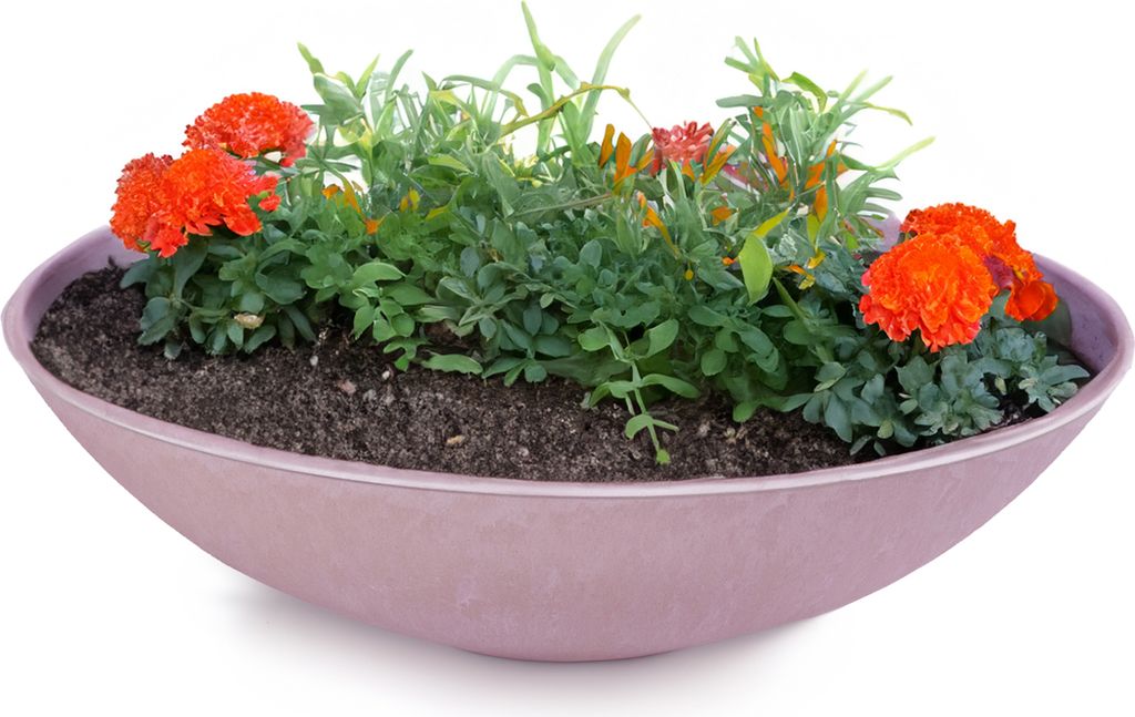 Flache Pflanzschale für draussen Dekoschale rund altrosa 45 Produktbild 