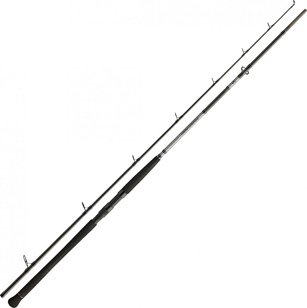 Daiwa Powermesh CF Boje 2,70m 150-400g Welsrute Produktbild 