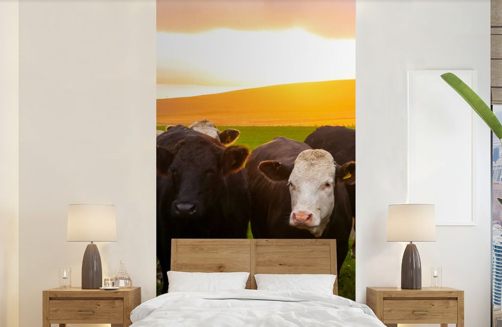 MuchoWow Fototapete für Wohnzimmer oder Schlafzimmer Wandtapete Vinyl Motivtapete Kühe - Hügel - Sonnenuntergang - Gras - Grün - 120x240 cm -...