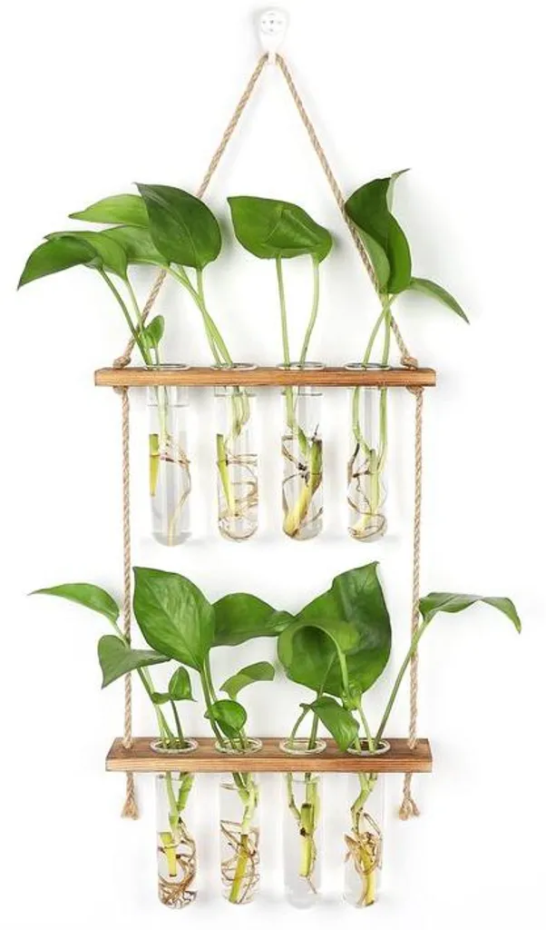 Propagateur hydroponique suspendu 2 niveaux en bois de pin et 8 verres