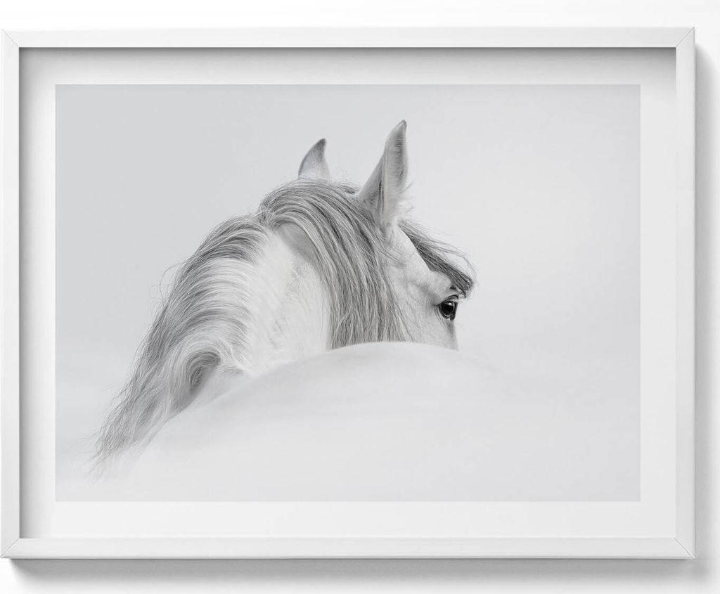 Andalusisches Pferd im Nebel– Wandbild mit Rahmen – Gerahmtes Bild – Wanddekoration – 80x60 cm – Weiß Rahmen