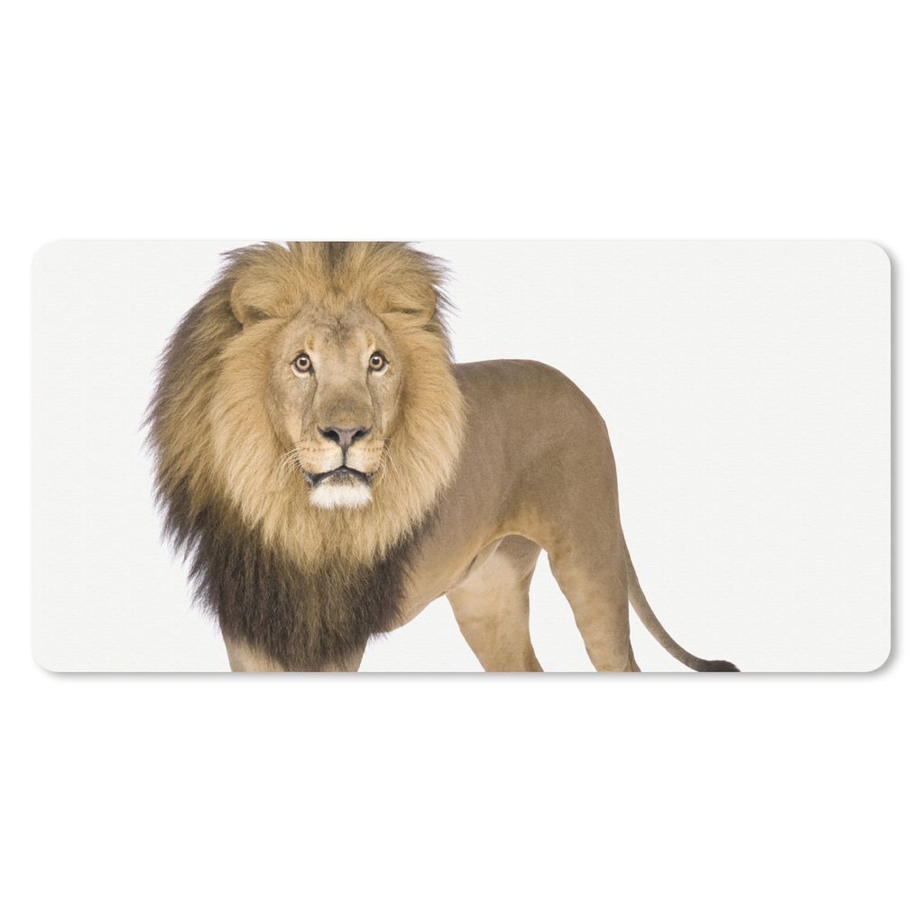 MuchoWow Schreibtischunterlage Jungen - Löwe - Tiere - Kinder - Mädchen 80x40 cm - XXL Mauspad - Gaming Mauspad