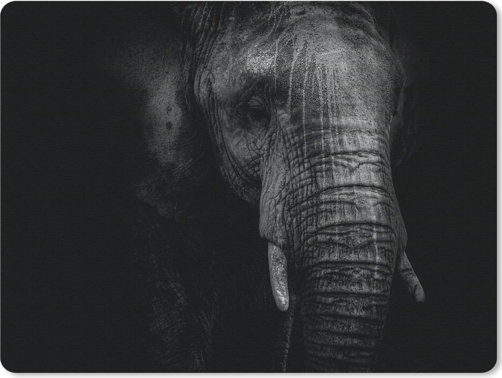 MuchoWow Mauspad Mousepad Elefant auf schwarzem Hintergrund in schwarz und weiß 23x19 cm - Mousepads - Maus Mat - Pad - Mausunterlage - Schreibt...