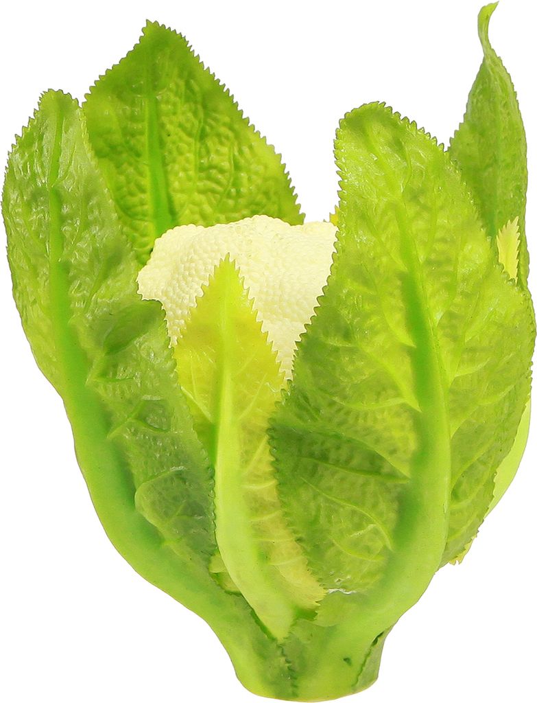 Künstlicher Blumenkohl Dekoration Gemüse Real-Touch Effekt Ø9cm H15cm Weiß Grün
