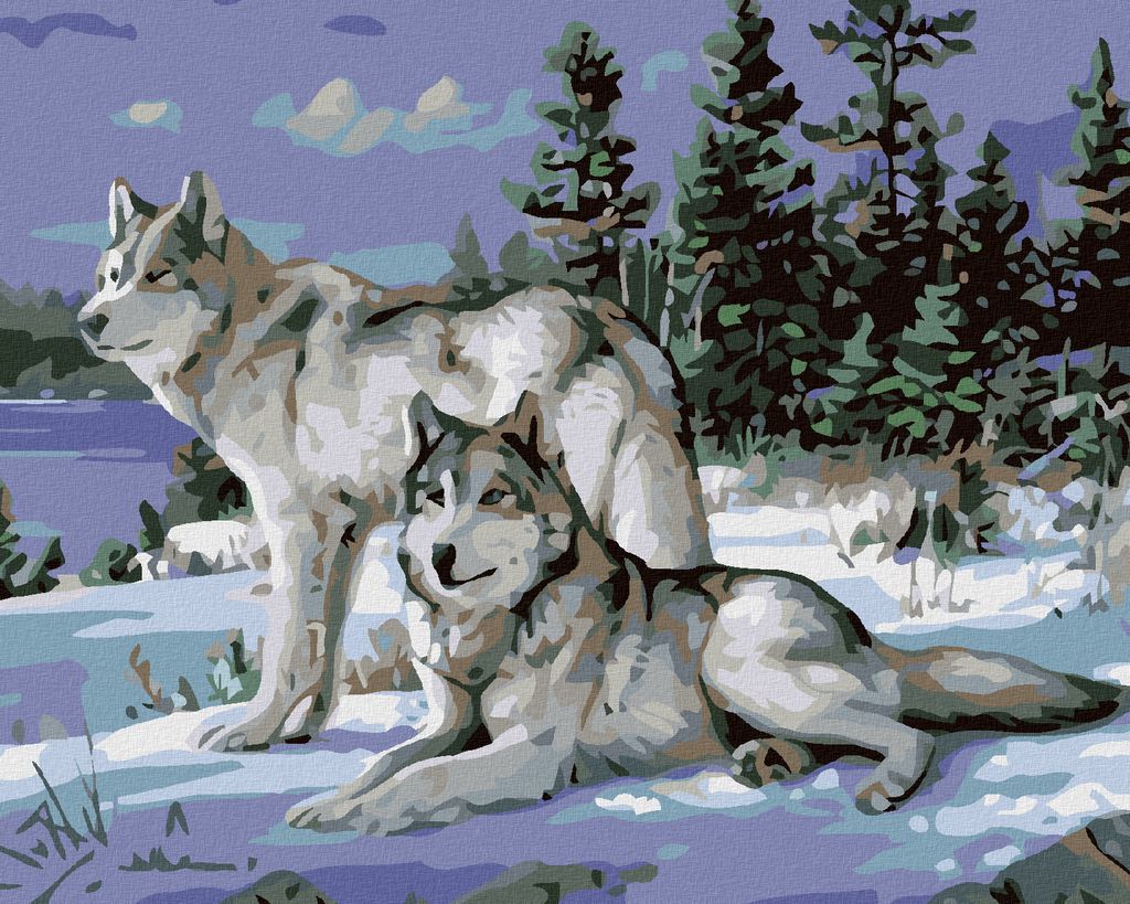 Malen nach Zahlen - WÖLFE, 40x50 cm, mit Keilrahmen (bereits gespannt)