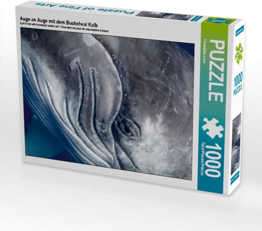 CALVENDO Puzzle Auge an Auge mit dem Buckelwal Kalb 1000 Teile Puzzle hoch | 1000 Teile Lege-Größe 64x48cm Foto-Puzzle für glückliche Stunden