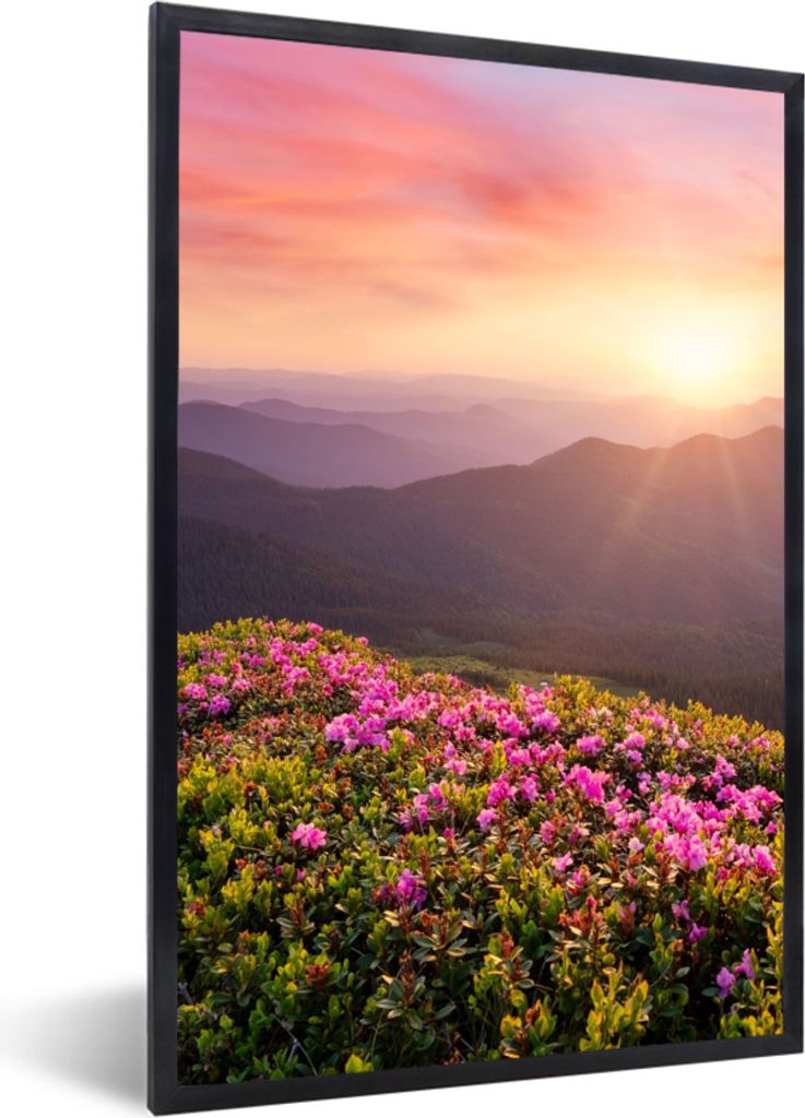 MuchoWow Gerahmtes Poster Blumen - Berg - Sonnenuntergang - Landschaft 40x60 cm - Poster mit Schwarzem Bilderrahmen Wandposter Rahmen Foto Bilder...
