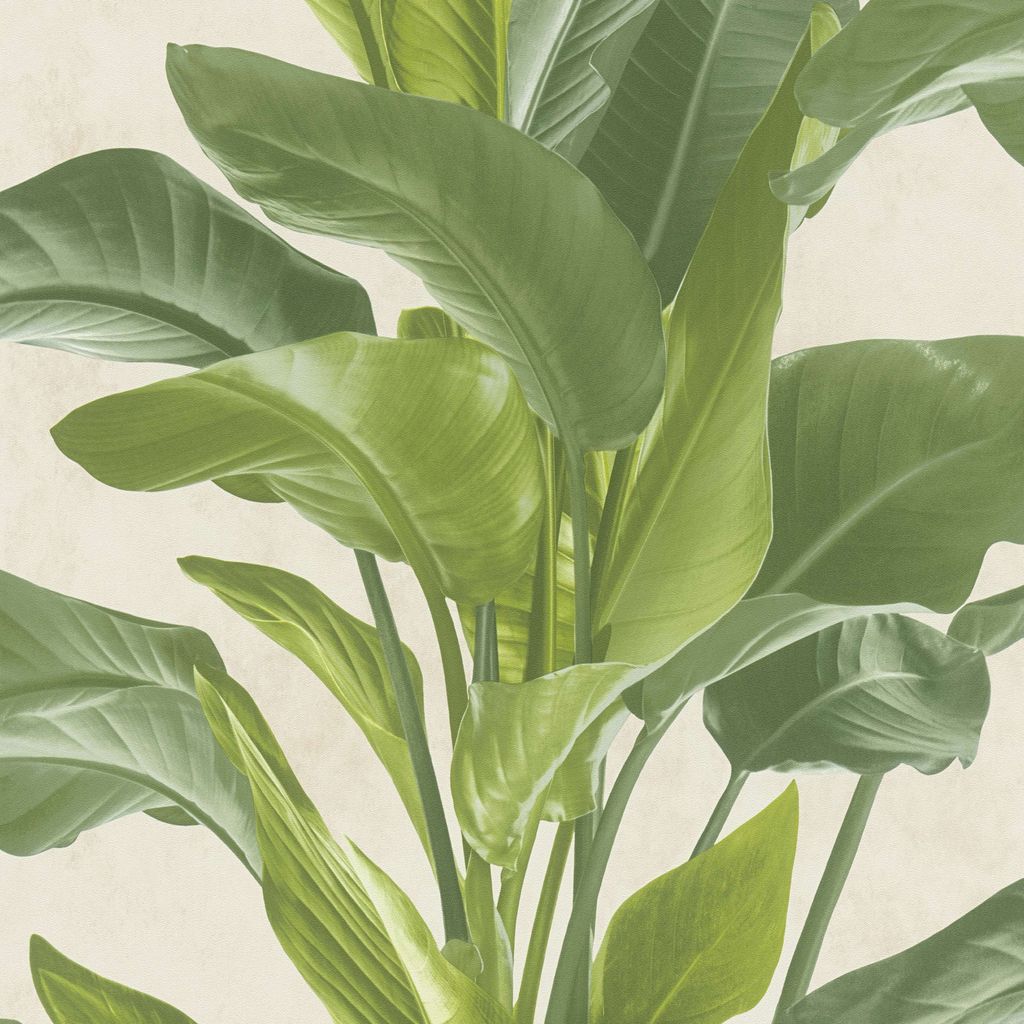 Livingwalls Palmentapete Metropolitan Stories tropische Tapete Antonio Barcelona Vliestapete grün creme 10,05 m x 0,53 m