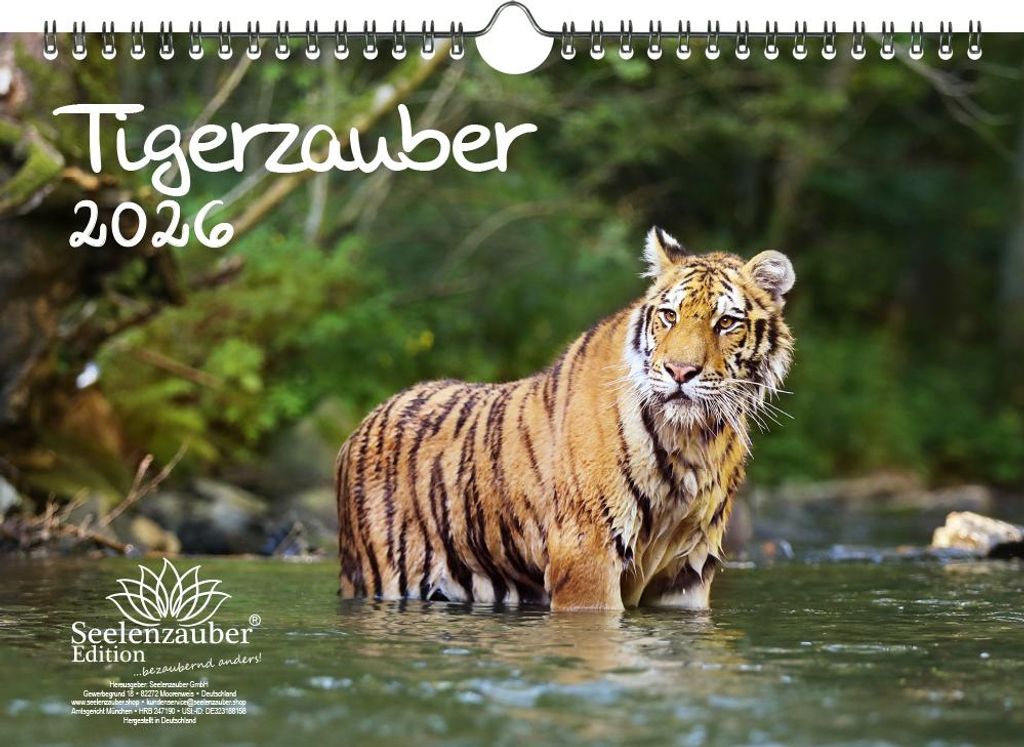 Tigerzauber DIN A4 Kalender für 2026 Tiger - Seelenzauber