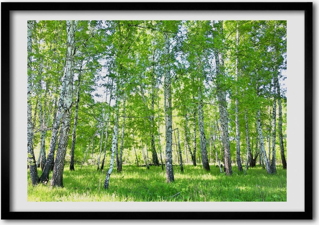 Bild - Bilderrahmen - 100 cm x 70 cm - MDF - Rahmen - Foto - Wandkunst Birken