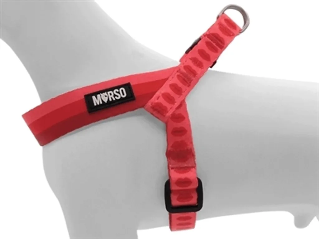 Pettorina Morso Mini Rosa Rossetto: Guida alla Scelta per Small Dogs - 2