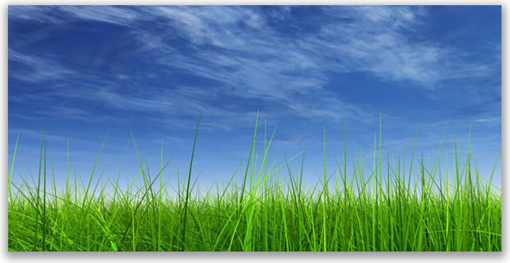 Tulup Leinwand-Bilder 120x60 Wandbild Canvas Kunstdruck Himmel Gras Natur