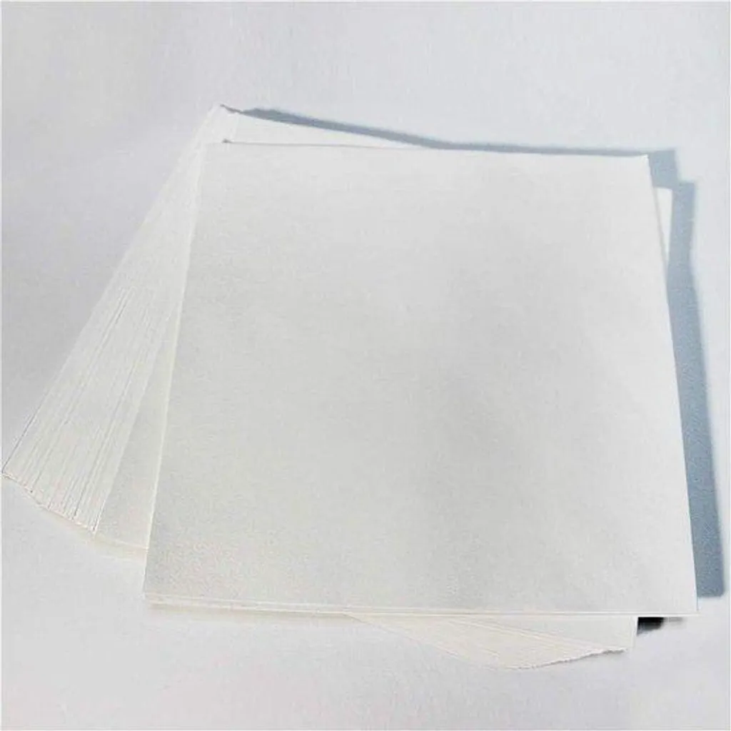 Papier filtre 60x60 cm Oledetectie vitesse lente - Lot de 10 feuilles
