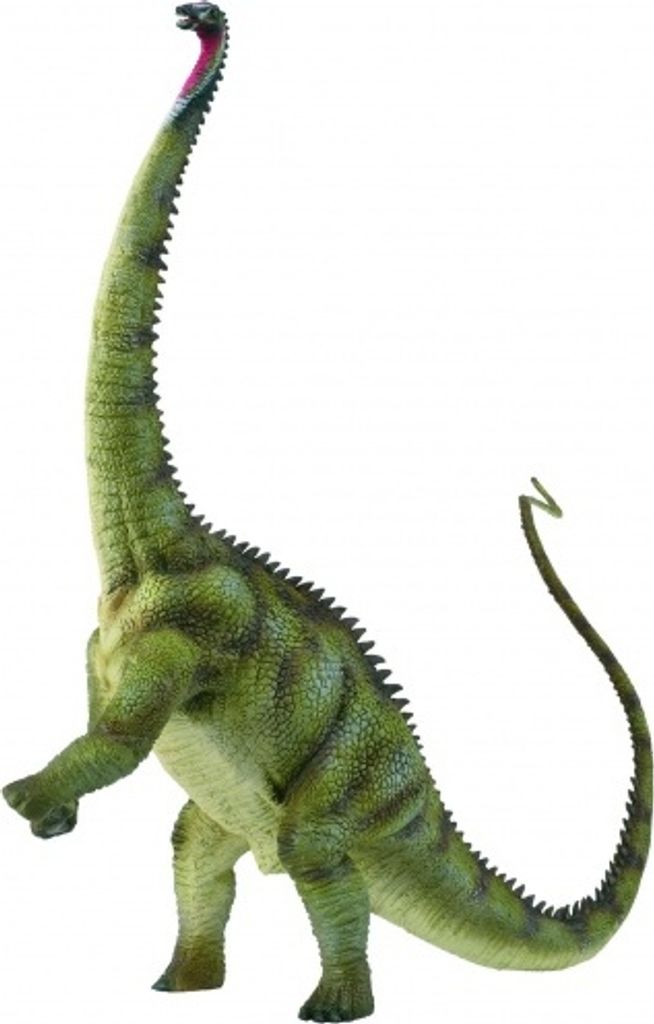 XL Collecta figurine de dinosaure Diplodocus à main Image du produit 