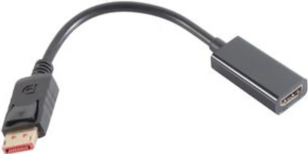 Adaptateur DisplayPort vers HDMI BASIC-S avec connecteurs blindés 1.4
