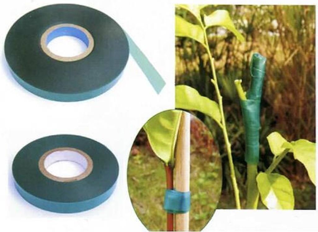 PROREGAL Gartenband, Klebeband zum Binden von Pflanzen 12mmx45m