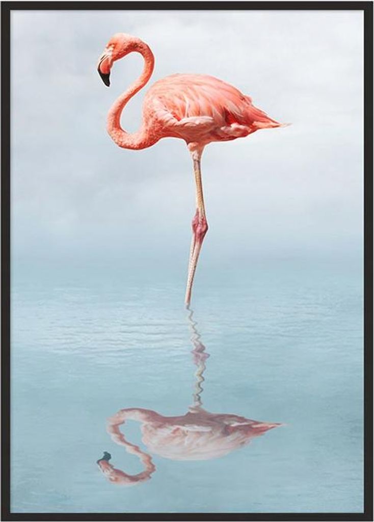 Bild Poster im Rahmen 43x33 cm Flamingo P687