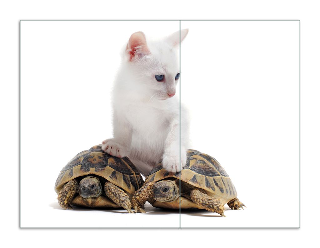 Wallario Herdabdeckplatte aus Glas, Größe 70 x 52 cm 2-teilig, Motiv Katze auf Schildkröten
