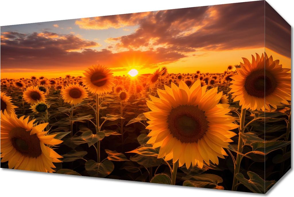 Bild 30x20cm Goldene Stunde