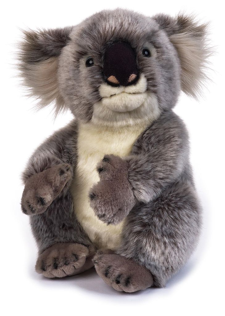 Freek Vonk X Bresser Lola Koala Kuscheltier 26 cm mit Produktbild 