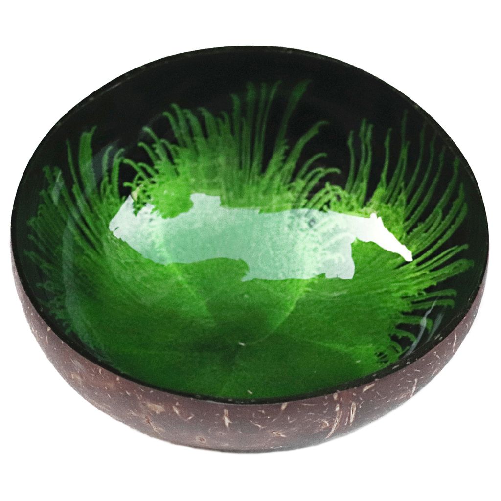 Key Storage Tably Coconut Bowl Shell Home Decoration Salat Behälterbehandlung-Grün
