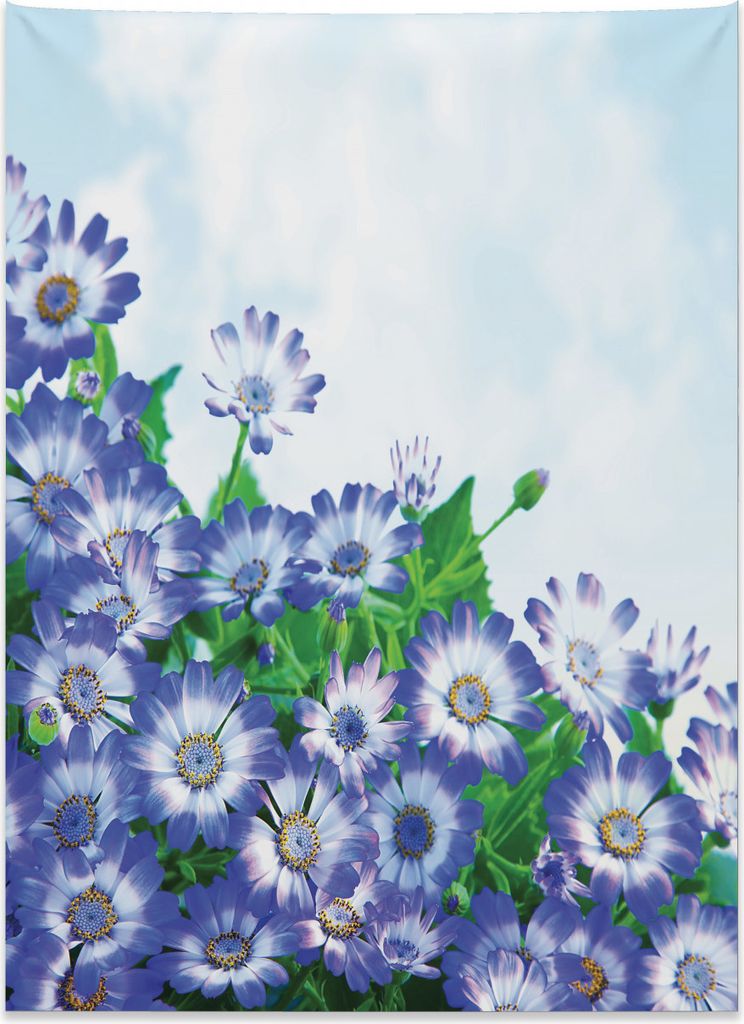 Abakuhaus Blumen Wandteppich, Wildblumen im Gras aus Weiches Mikrofaser Stoff Kein Verblassen Klare Farben Waschbar, 110 x 150 cm, Grün Blau