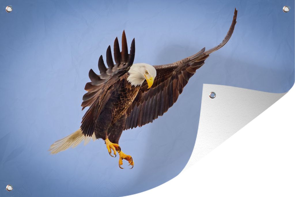 MuchoWow 120x80 cm Outdoor-Poster Gartendeko Sichtschutz Garten Poster für den Garten Ein Weißkopfseeadler am blauen Himmel