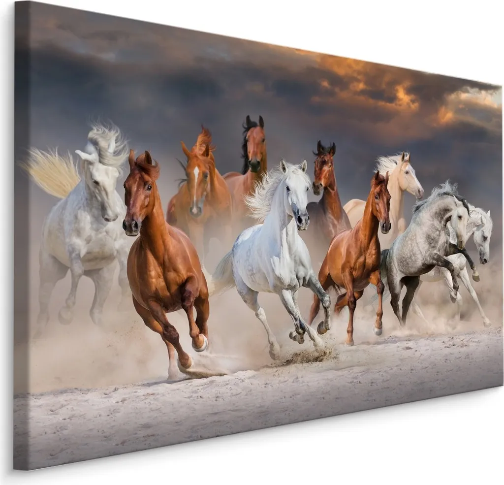 Fotomurale su Tela 100x70 cm Cavalli in Corsa - Stampa Arte XXL