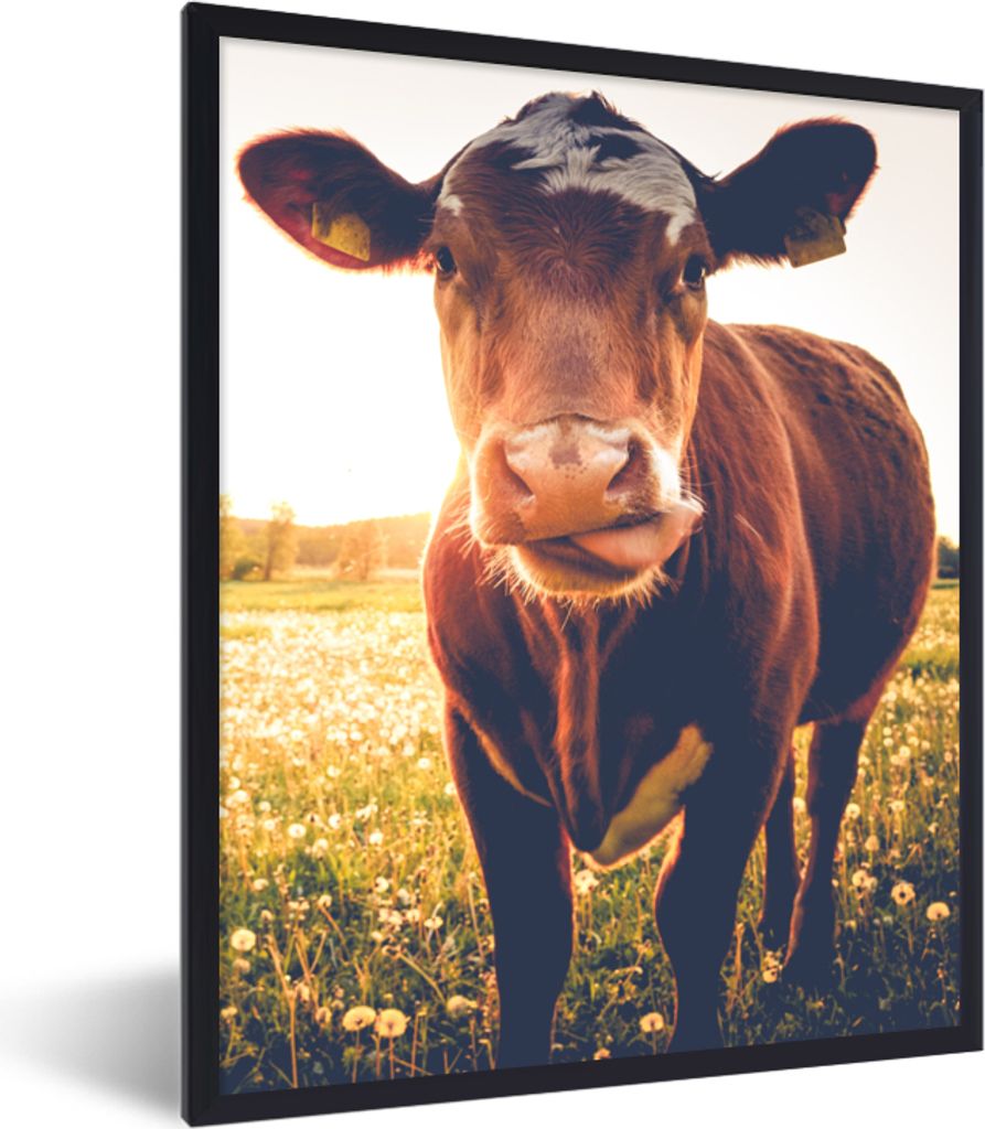 MuchoWow Gerahmtes Poster Kuh - Sonnenuntergang - Blumen - Gras - Tiere 60x80 cm - Poster mit Schwarzem Bilderrahmen Wandposter Rahmen Foto Bilde...