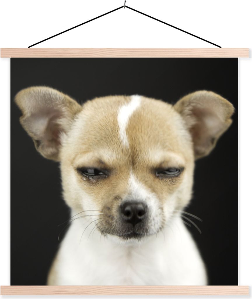 MuchoWow Textilposter Hund - Haustiere - Porträt 60x60 cm mit holzfarbenen Rahmen - Wanddekoration