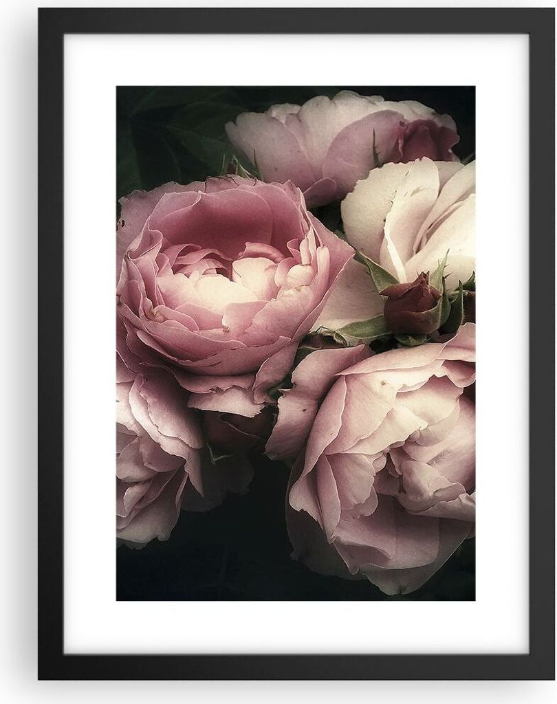 Gerahmtes Poster - Schwarzer Rahmen - Pfingstrose Blume - 30x40 cm - Wand Bild - Wanddeko - Wandbilder - Kunstposter - Wandposter - Bilderrahmen - ...