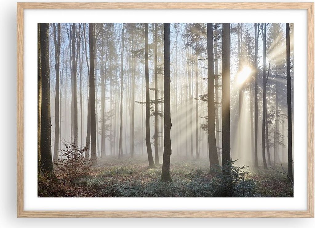 Gerahmtes Poster - Rahmen in heller Eiche - Wald Baum Natur - 70x50 cm - Wand Bild - Wanddeko - Wandbilder - Kunstposter - Wandposter - Bilderrahme...