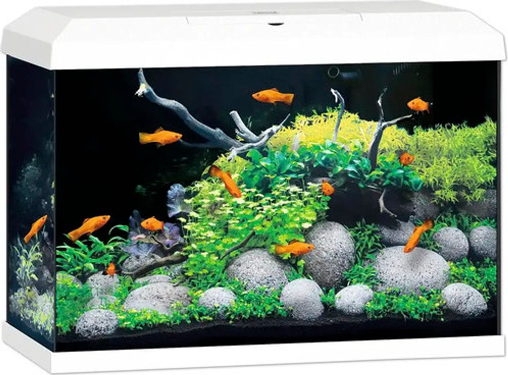 Akvárium JUWEL Primo 70 LED 2.0 včetně krytu, Bioflow Super Obrázek produktu 2