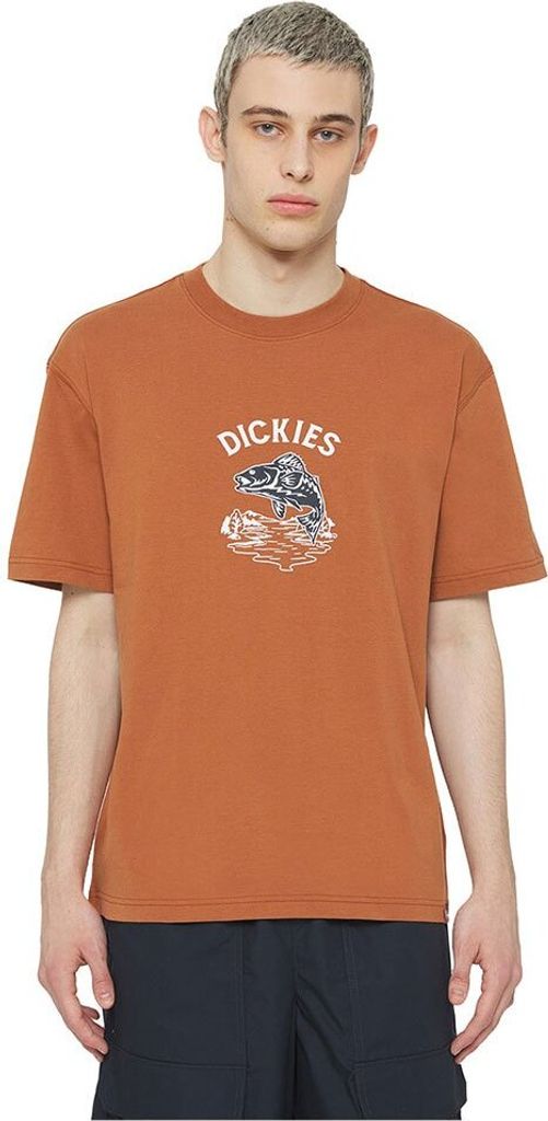 Dickies Dumfries Kurzarm-t-shirt Orange S Mann Orange S