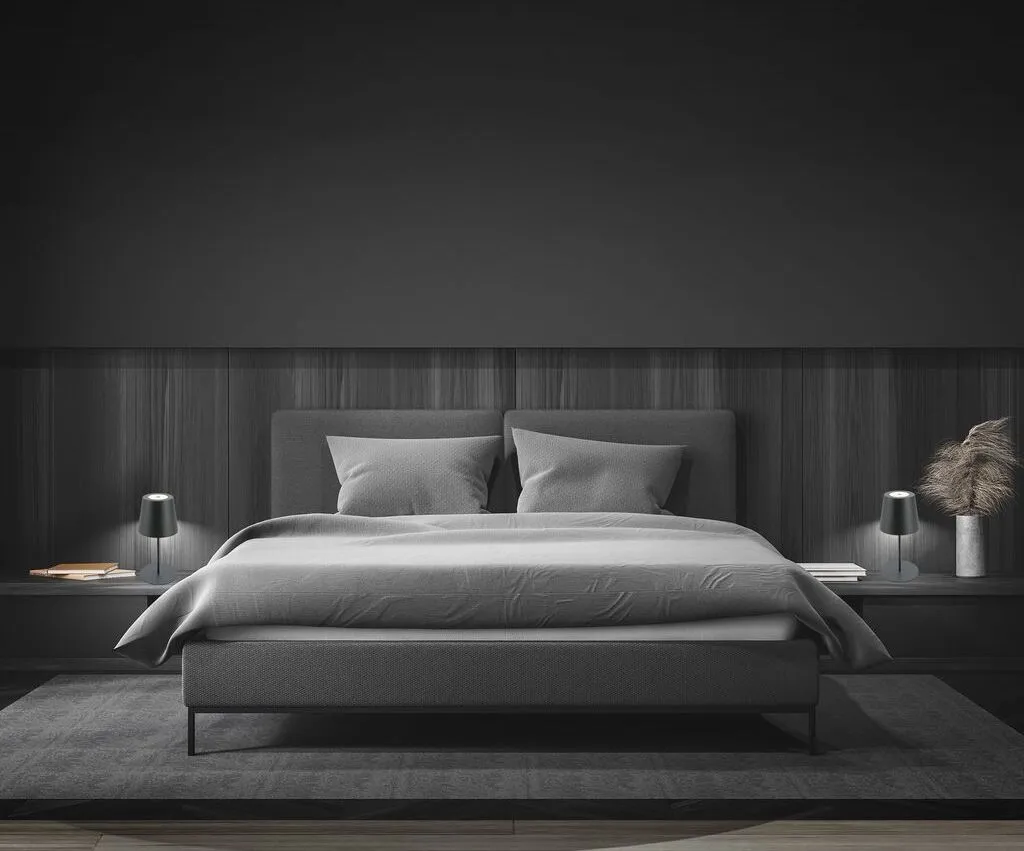 Lampe de Table LED Sans Fil Anthracite Hauteur Ajustable 36cm x2 - 9