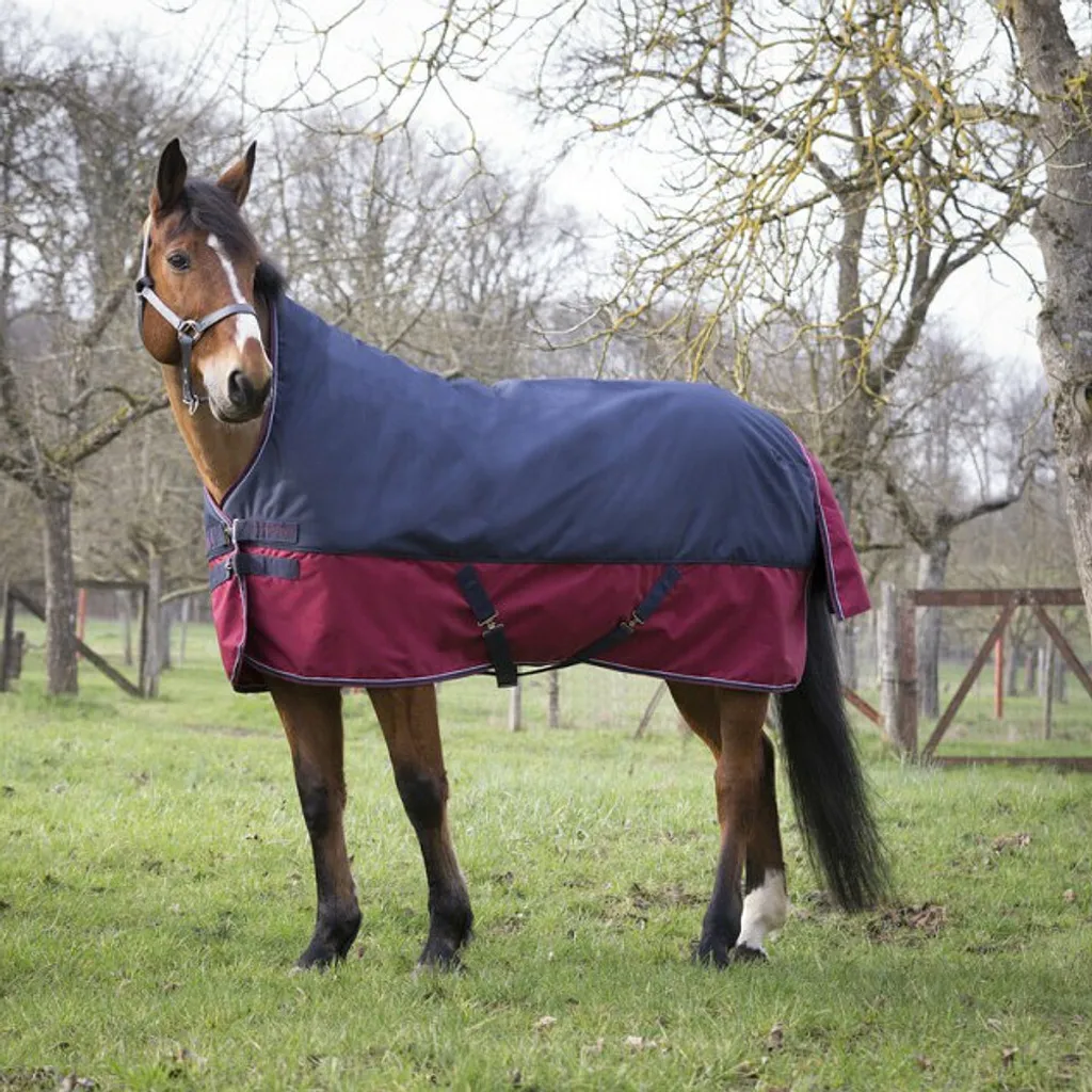 Couverture de pluie pour cheval Tyrex 1200D Equithème cou haut 6'6