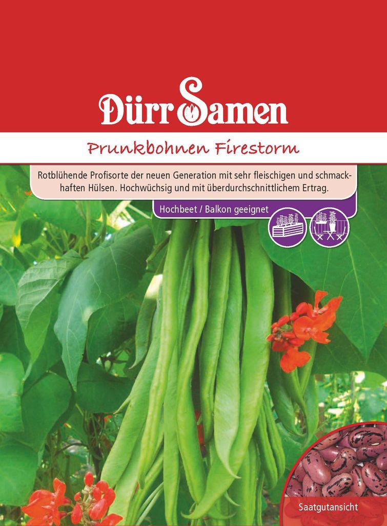 Artikelbild 1 von 'Prunkbohne Firestorm' aus der Kategorie Prunkbohnensamen