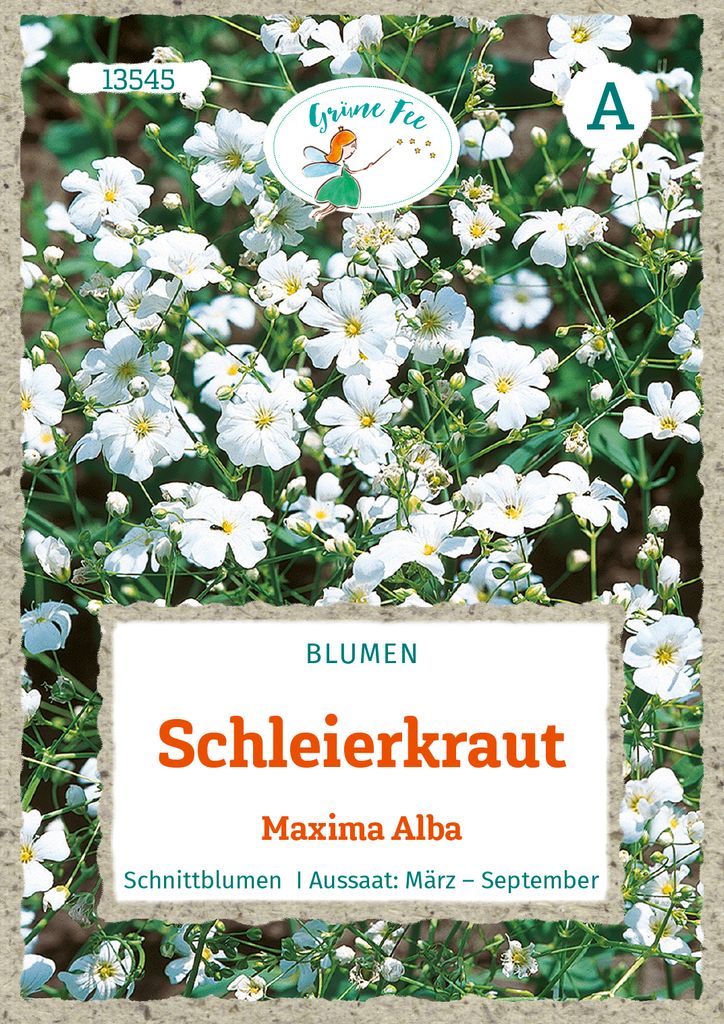 Grüne Fee - Schleierkraut Maxima Alba Samen - 13545