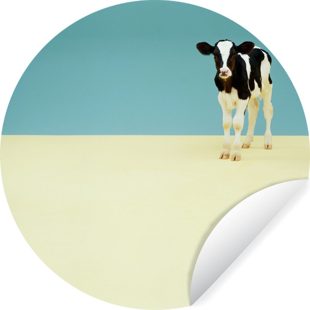 MuchoWow Runde Wandtattoo - Wandsticker Tapete Aufkleber Kuh - Kalb - Friesland Ø 80 cm Selbstklebend und Repositionierbar - Wandaufkleber - Kre...