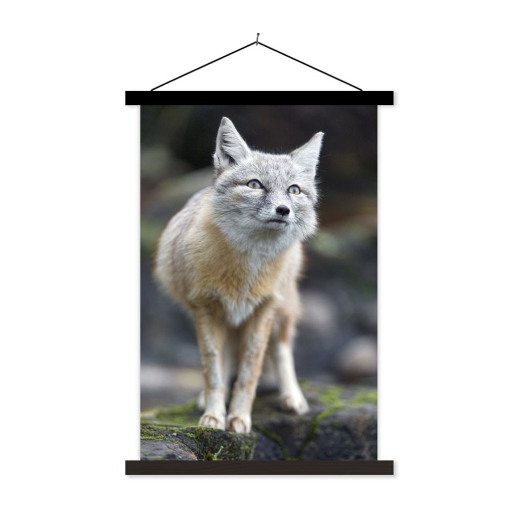 MuchoWow Textilposter Fuchs - Makro - Baum 40x60 cm mit schwarzem Rahmen - Wanddekorationen