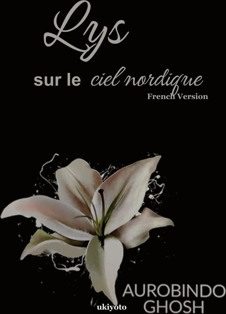 Lys sur le ciel nordique