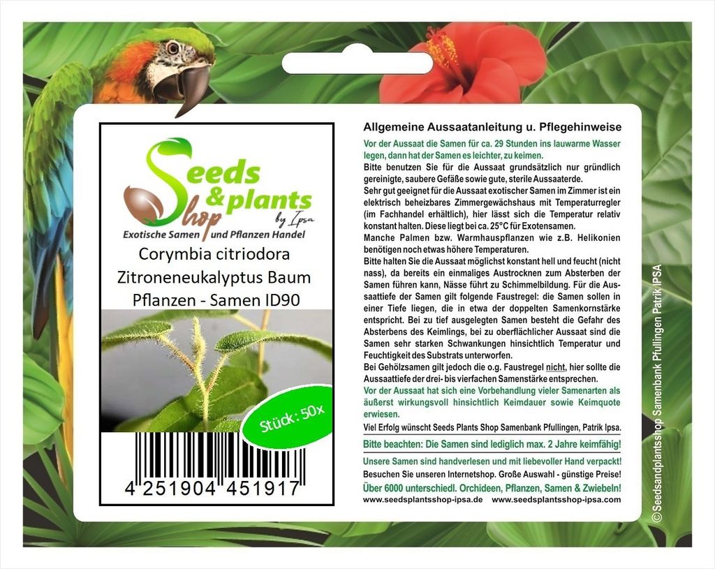 50x Corymbia citriodora Zitroneneukalyptus Baum Pflanzen - Samen ID90