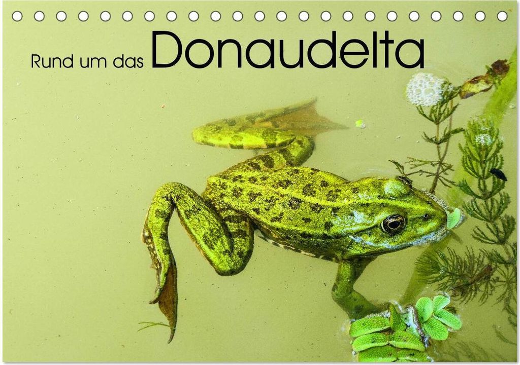 Rund um das Donaudelta (Tischkalender 2026 DIN A5 quer), CALVENDO Monatskalender