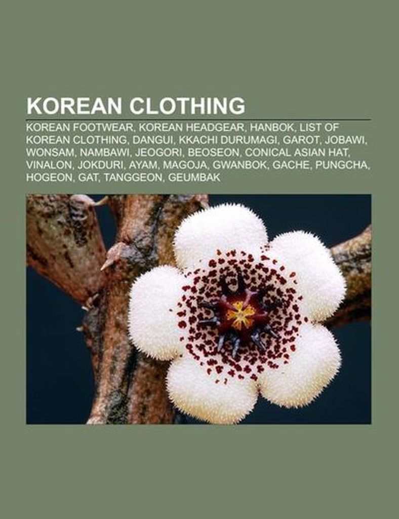 Korean clothing