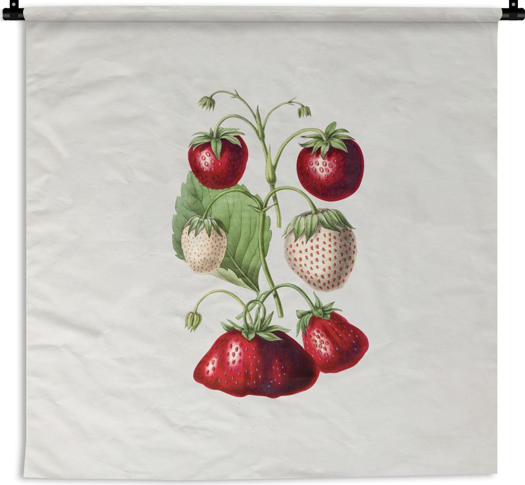 MuchoWow Wandteppich Wandbehang Erdbeeren - Pflanze - Frucht 150x150 cm Tapisserie Dekoration Wandtuch - Wohnaccessoires - Modernes