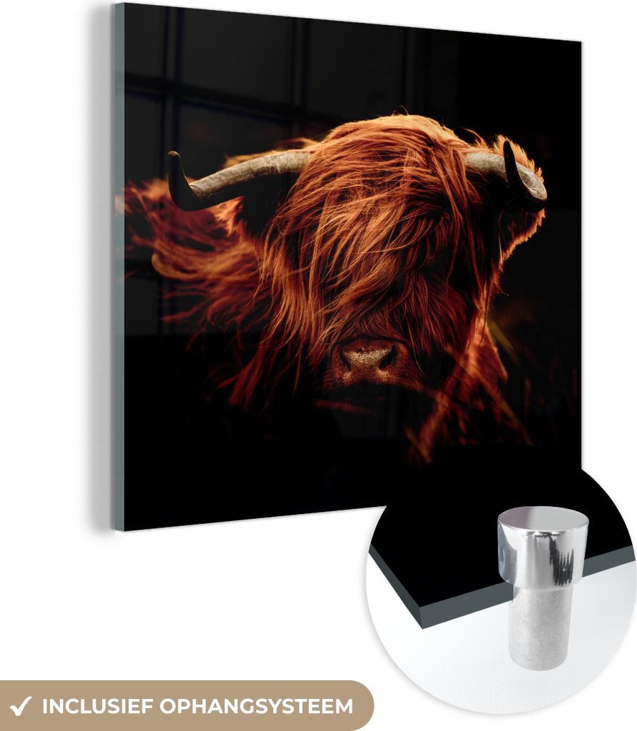 MuchoWow Glasbilder - Bilder auf Wandbild - Foto auf Glas Schottisches Hochlandrind - Kuh - Hörner - Porträt - Tiere 20x20 cm Wanddekoration aus ...