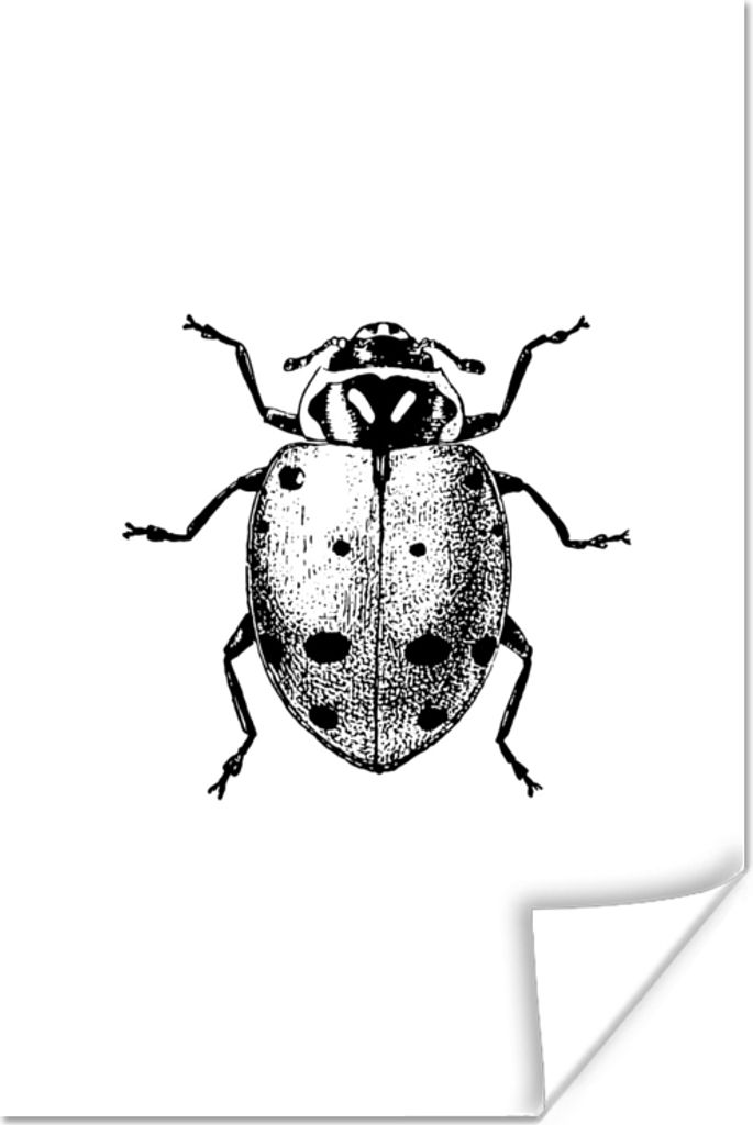 MuchoWow Poster Vintage - Marienkäfer - Insekten - Schwarz und weiß 40x60 cm - Plakate für die Wand - Poster Babyzimmer