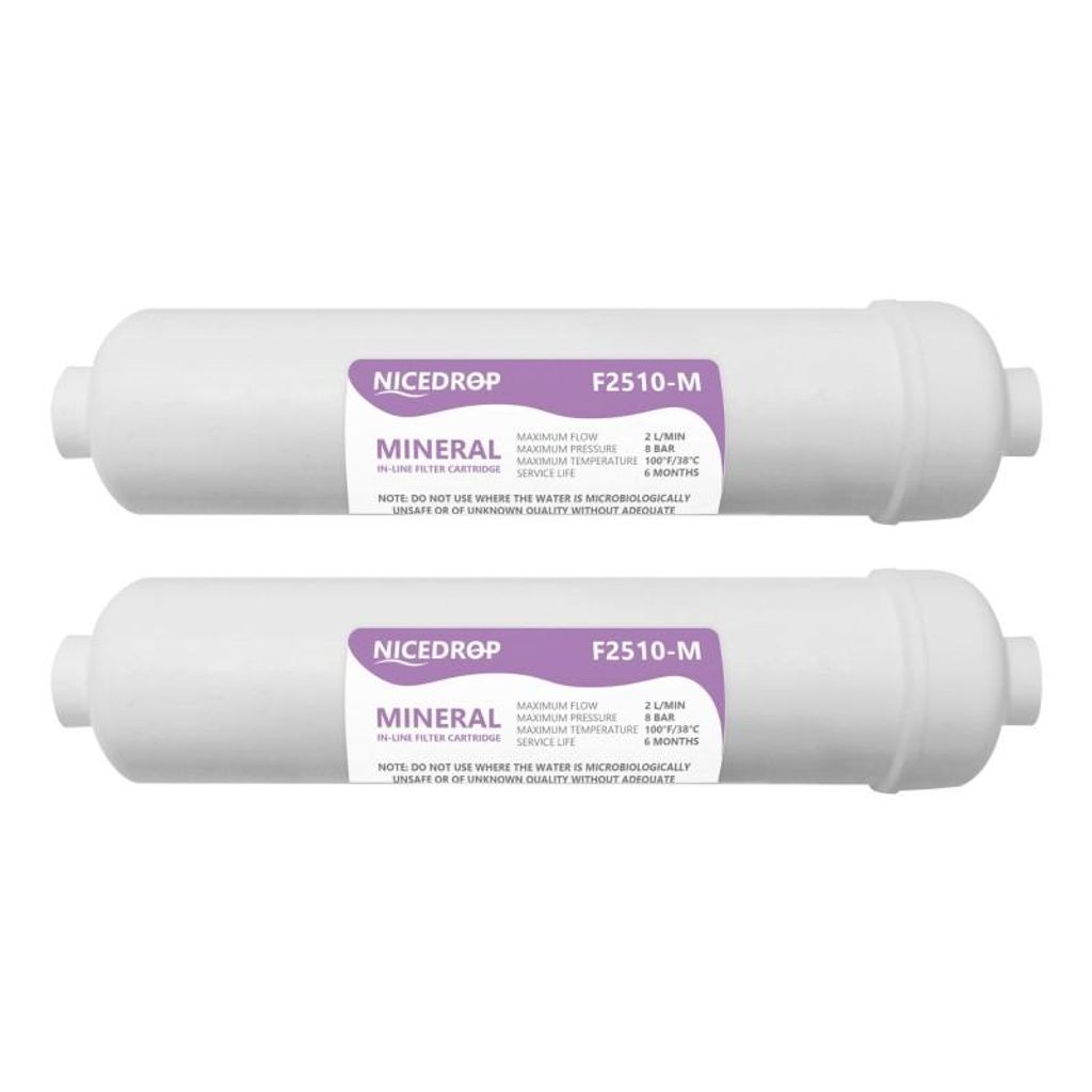Inline‐Filter 10 Zoll 1/4 Zoll für Osmoseanlagen – 2er Set